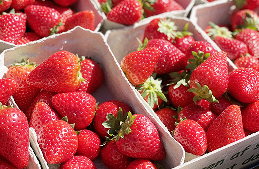 フルーツ販売イメージ