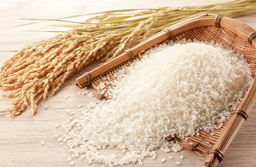 お米イメージ